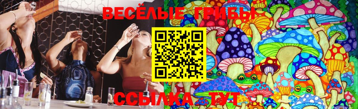 Галлюциногенные грибы MAGIC MUSHROOMS  Галлюциногенные грибы ЛСД  Мытищи  цена наркотик  Вход с VPN 
