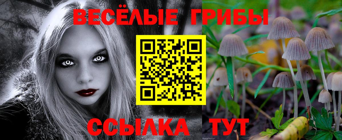 Псилоцибиновые грибы Cubensis Мытищи